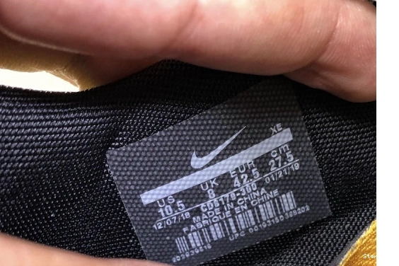 Zoom Kiger 5 x Terra Nike CD8179-300 O-W 0822